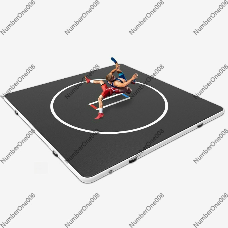 Professional Inflatable Air Tr - Tumbling Air Track 리뷰 및 가격