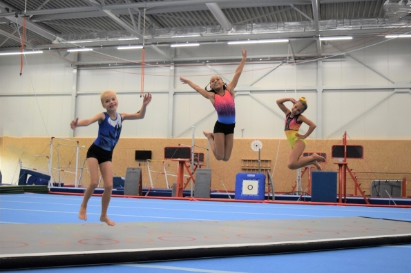 Inflatable Gymnast Tumbled Mat - Tumbling Air Track 리뷰 및 가격