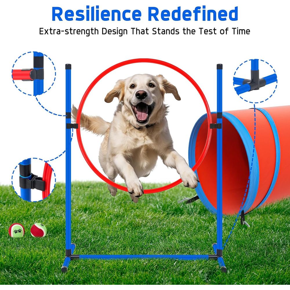Backyard Dog Agility Course Se - Agility Hurdle Set 리뷰 및 가격