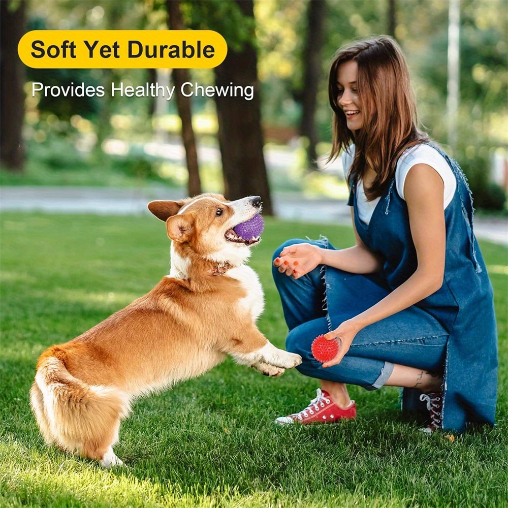 6pcs Dog Toy Balls, Non-Toxic, - Spike Ball Game 리뷰 및 가격
