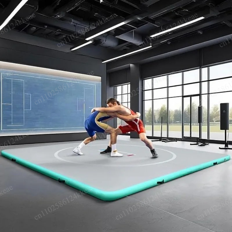 Professional Inflatable Air Tr - Tumbling Air Track 리뷰 및 가격