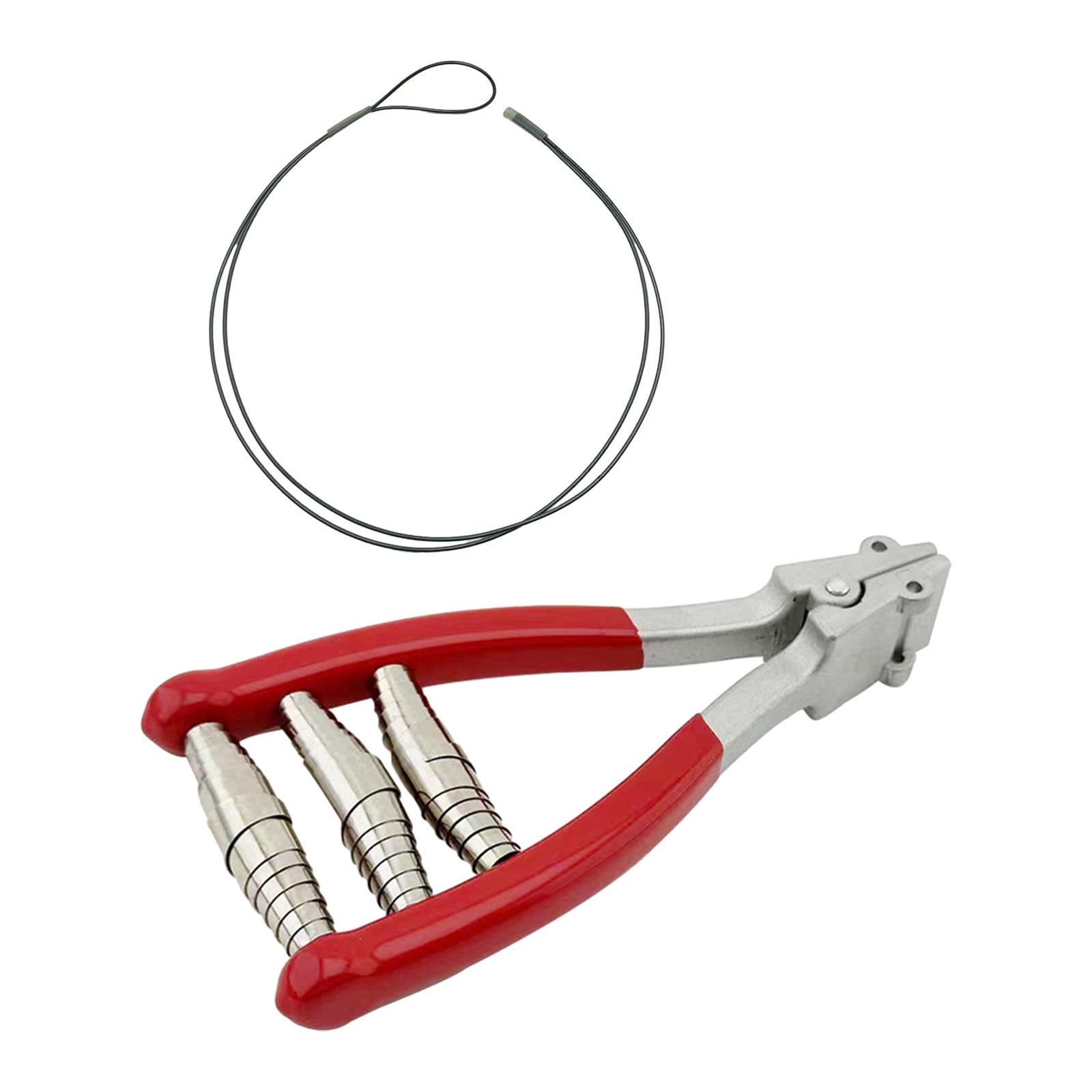 String Starting Clamp Badminto - Sports Equipment That Starts With A 리뷰 및 가격