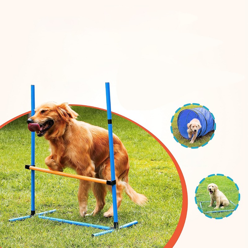 Amazon Dog Training Equipment  - Agility Hurdle Set 리뷰 및 가격