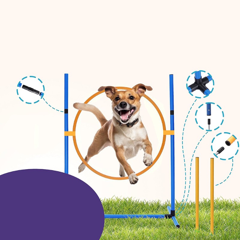 Amazon Dog Training Equipment  - Agility Hurdle Set 리뷰 및 가격