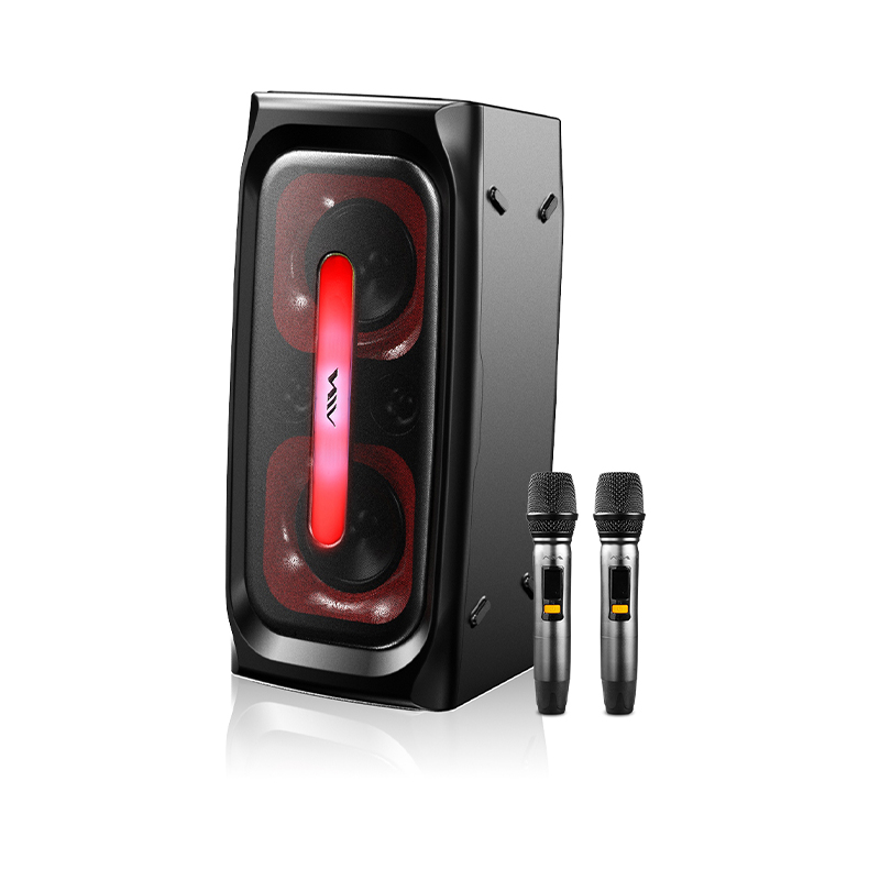SS-X300DSP PRO High Quality Sp - Sports Equipment Japan 리뷰 및 가격