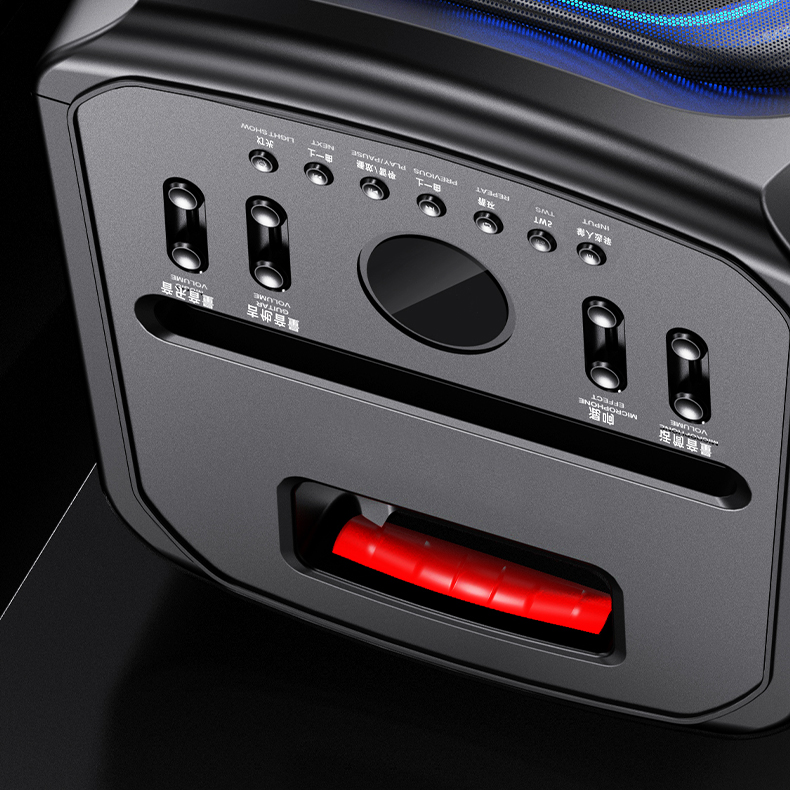 SS-X300DSP PRO High Quality Sp - Sports Equipment Japan 리뷰 및 가격